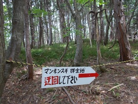 大海里山