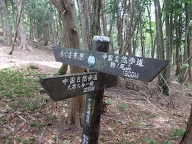 大海里山