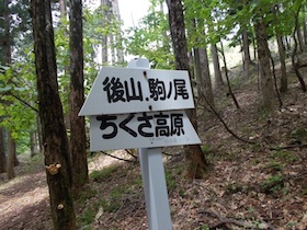 大海里山