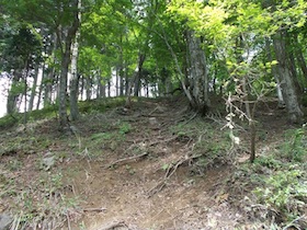 大海里山