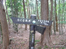 大海里山