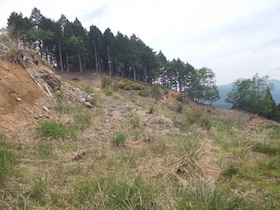 大海里山