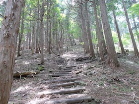 大海里山