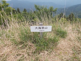 大海里山