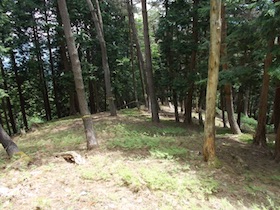 大海里山