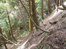 大海里山