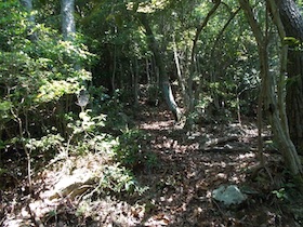水剣山