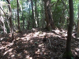 水剣山