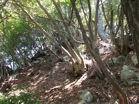水剣山