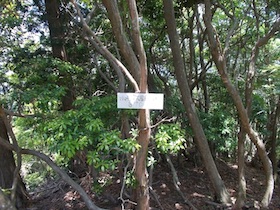 水剣山0