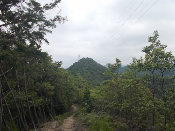 西林寺山