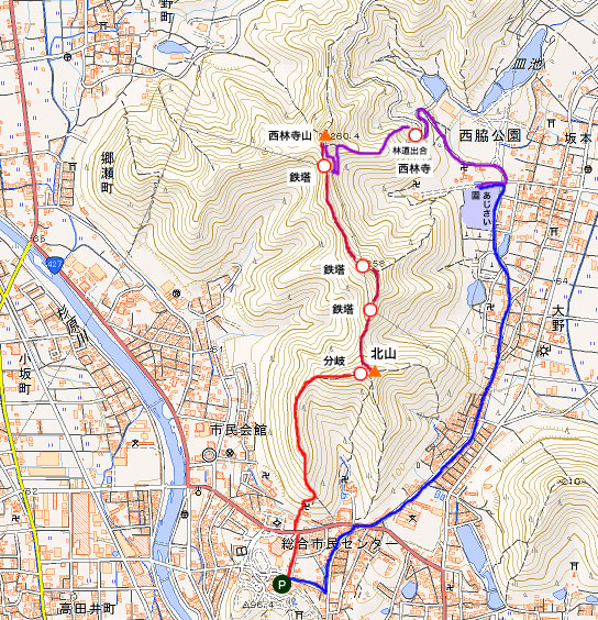 西林寺山