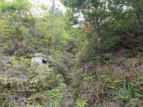 西林寺山