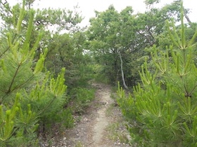 西林寺山