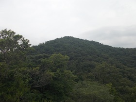 西林寺山