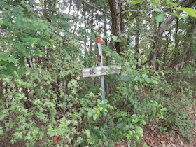 西林寺山