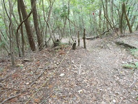 西林寺山