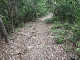 西林寺山