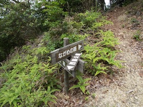 西林寺山