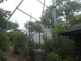 西林寺山
