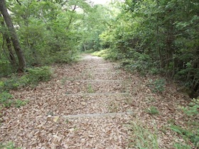 西林寺山