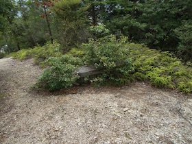西林寺山