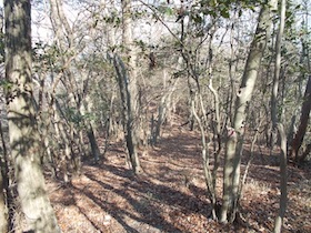 とんがり山-峰相山