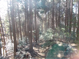 とんがり山-峰相山