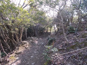 諭鶴羽山