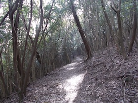 諭鶴羽山