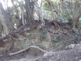 先山