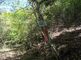 御殿山