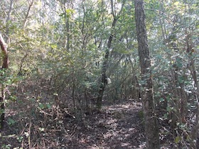 比延山