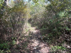 比延山