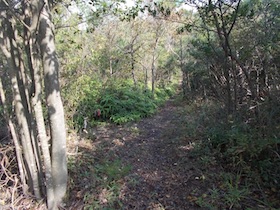 比延山