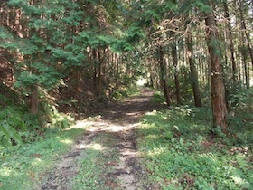 黒田城址
