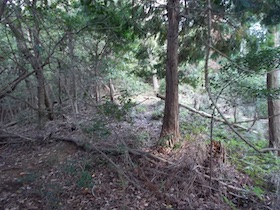 黒田城址