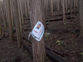 黒田城址