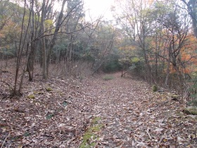 弥十郎ヶ岳