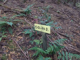 弥十郎ヶ岳