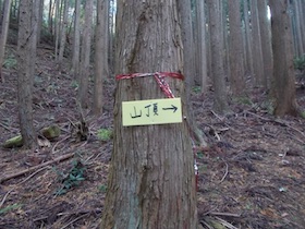 弥十郎ヶ岳