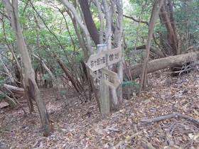 弥十郎ヶ岳