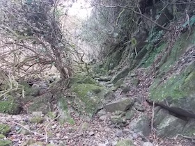 弥十郎ヶ岳