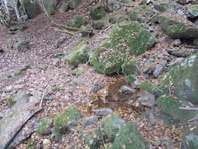 弥十郎ヶ岳