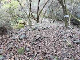 弥十郎ヶ岳
