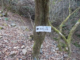 弥十郎ヶ岳