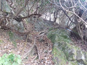 弥十郎ヶ岳