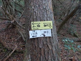 弥十郎ヶ岳