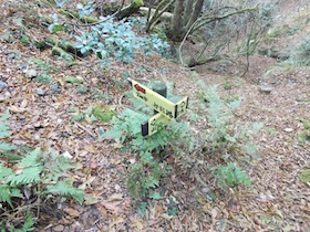 弥十郎ヶ岳