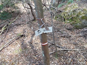 弥十郎ヶ岳